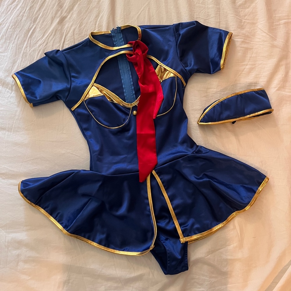 Britney / Sailor Moon / Flight Attendant Costume
